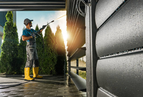 Best Soft Washing  in Bodfish, CA