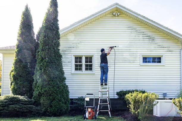 Best Driveway Pressure Washing  in Bodfish, CA